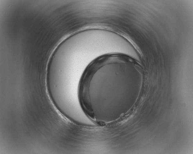 X0000075900853200609291730