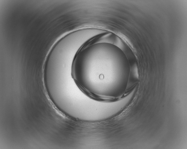 X0000075900854200609291730