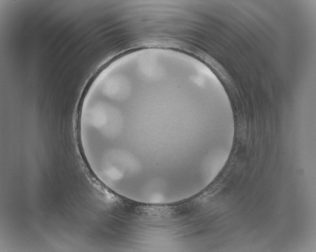 X0000075900856200609291730