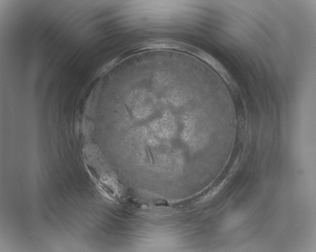 X0000075900857200609291730