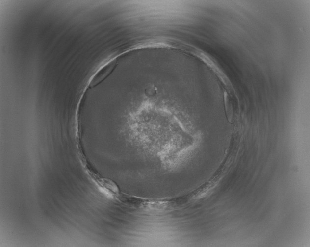 X0000075900858200609291730