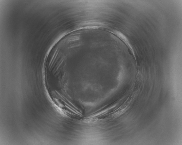 X0000075900859200609291730