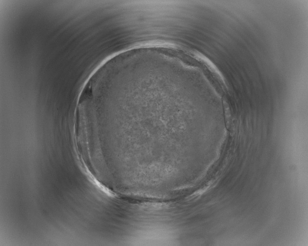 X0000075900860200609291730