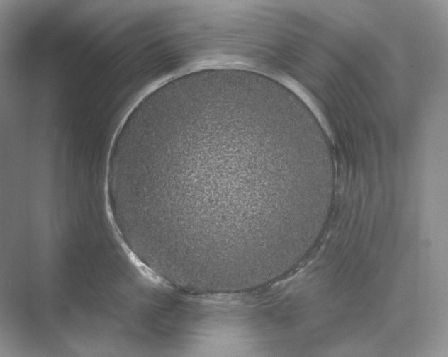 X0000075900861200609291730