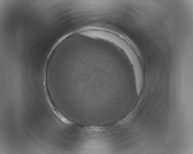 X0000075900862200609291730