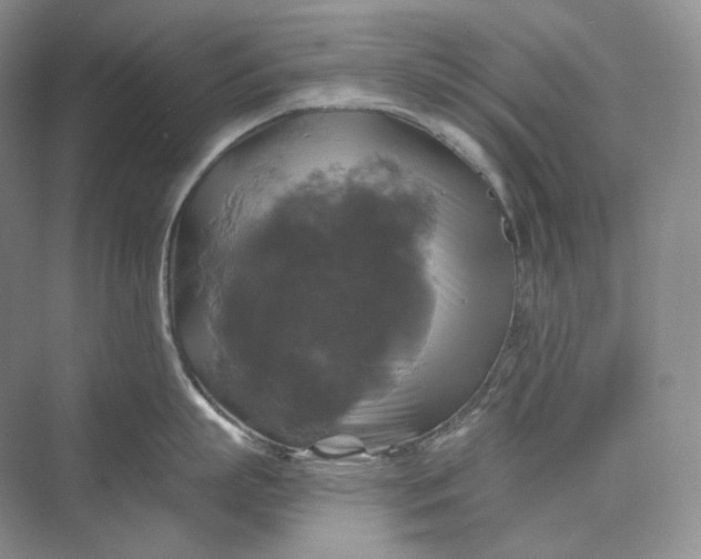 X0000075900863200609291730