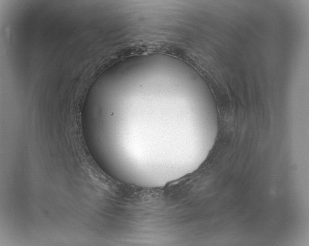 X0000075900865200609291729