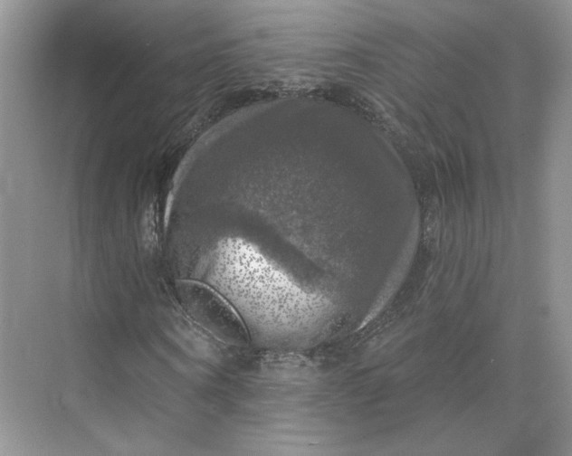 X0000075900866200609291729