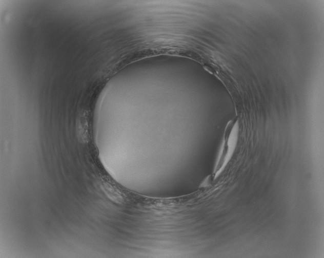 X0000075900868200609291729