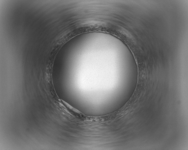 X0000075900869200609291729