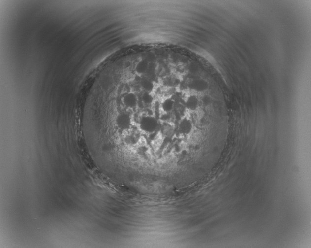 X0000075900871200609291729