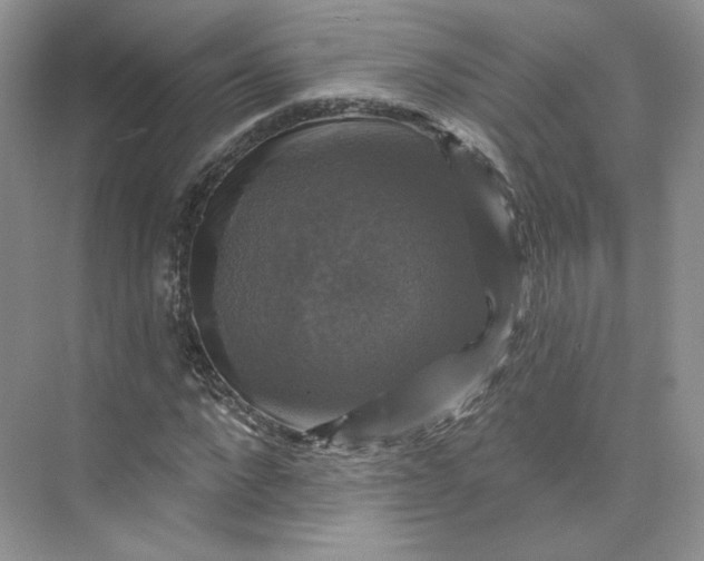 X0000075900872200609291729