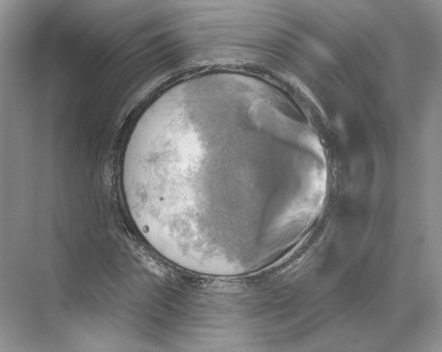 X0000075900874200609291729