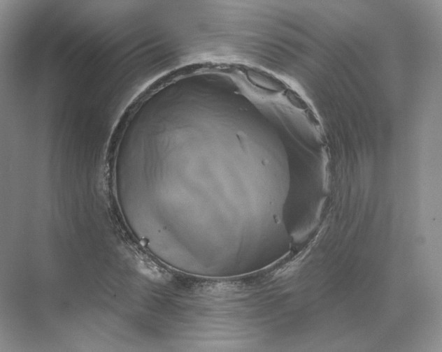 X0000075900879200609291729