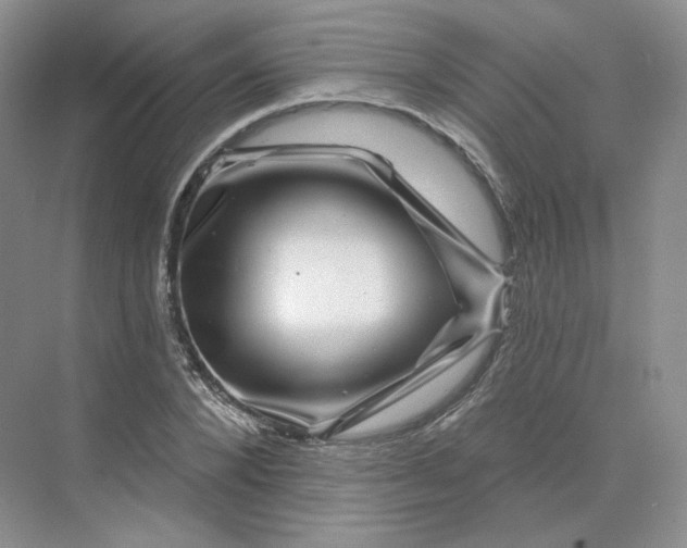 X0000075900880200609291729