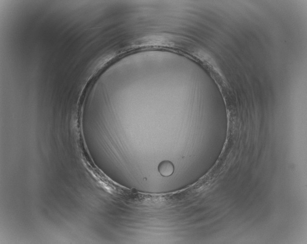 X0000075900882200609291729