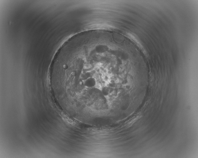 X0000075900883200609291729