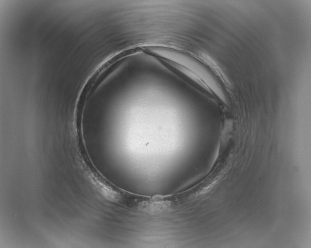 X0000075900884200609291729