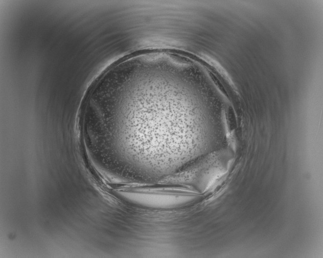 X0000075900885200609291729