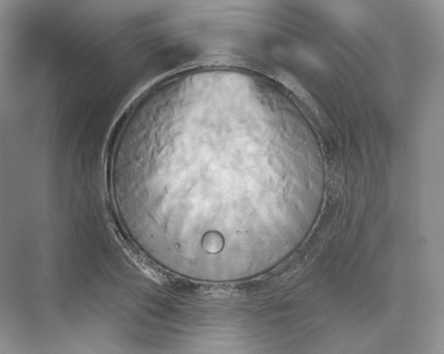 X0000075900886200609291729