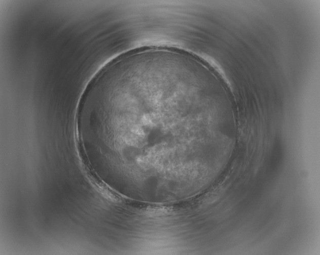 X0000075900887200609291729