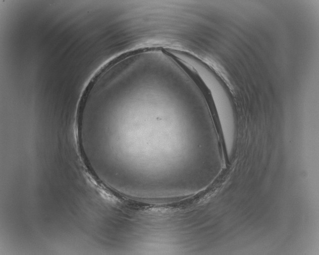 X0000075900888200609291729