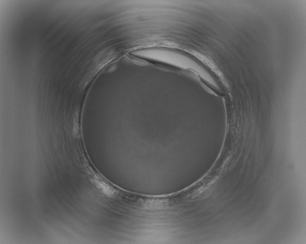 X0000075900889200609291729