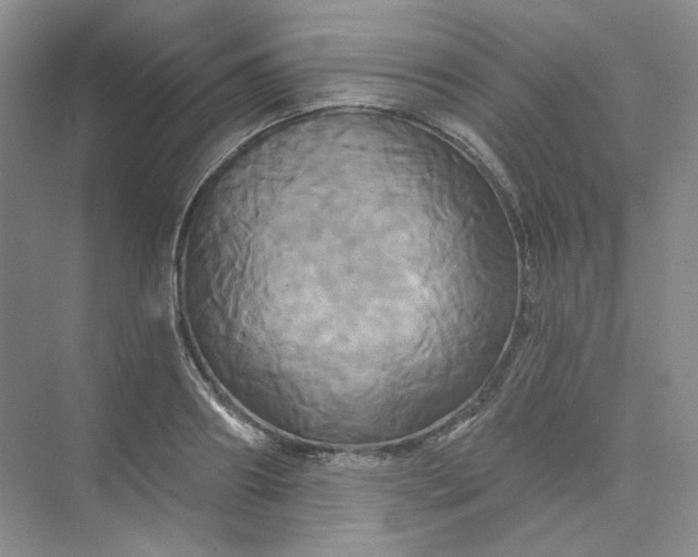 X0000075900890200609291729