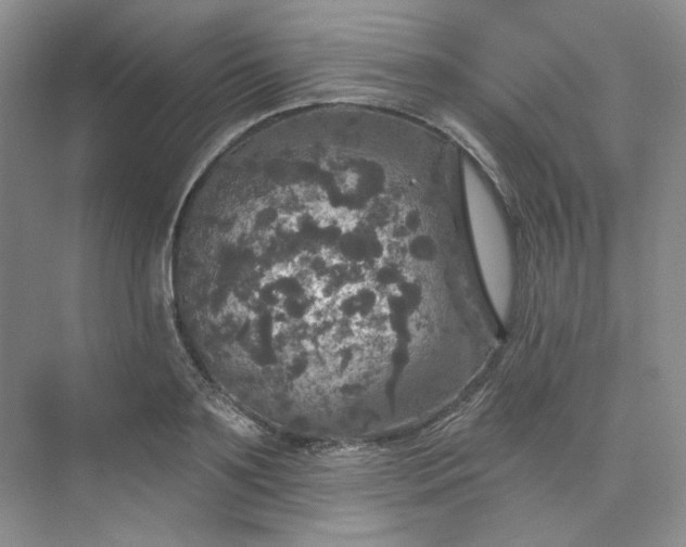 X0000075900891200609291729