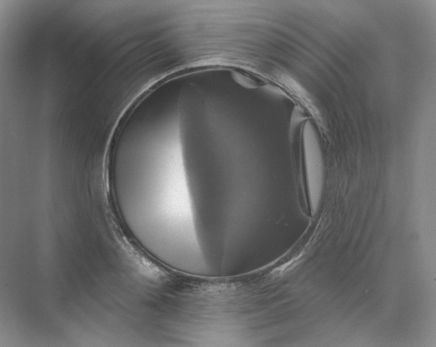 X0000075900892200609291729