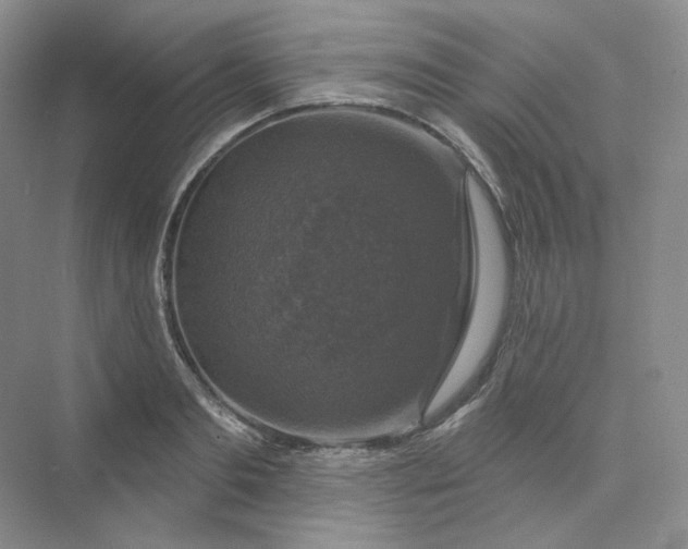 X0000075900893200609291729