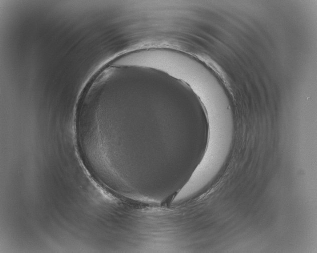 X0000075900894200609291729