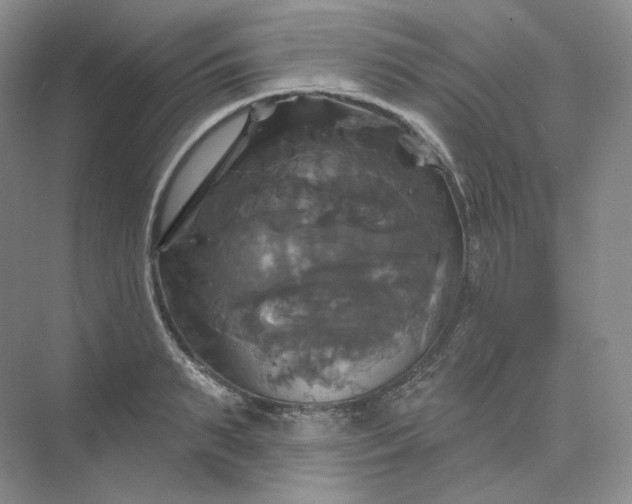 X0000075900895200609291729