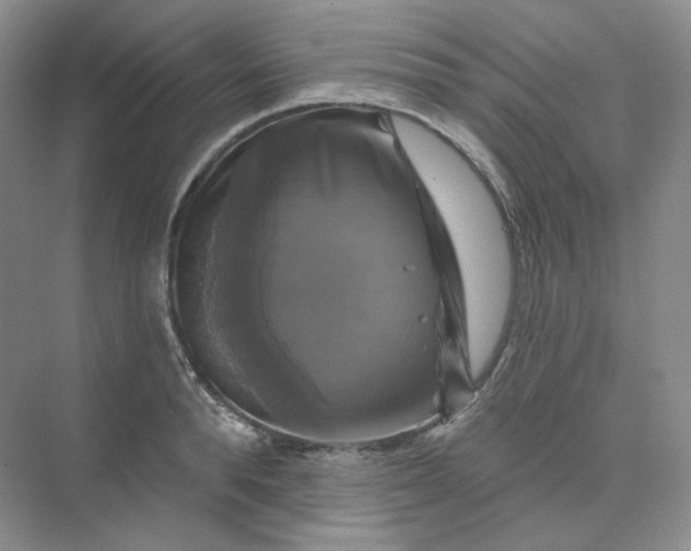 X0000075900896200609291729