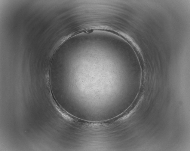 X0000075900897200609291729