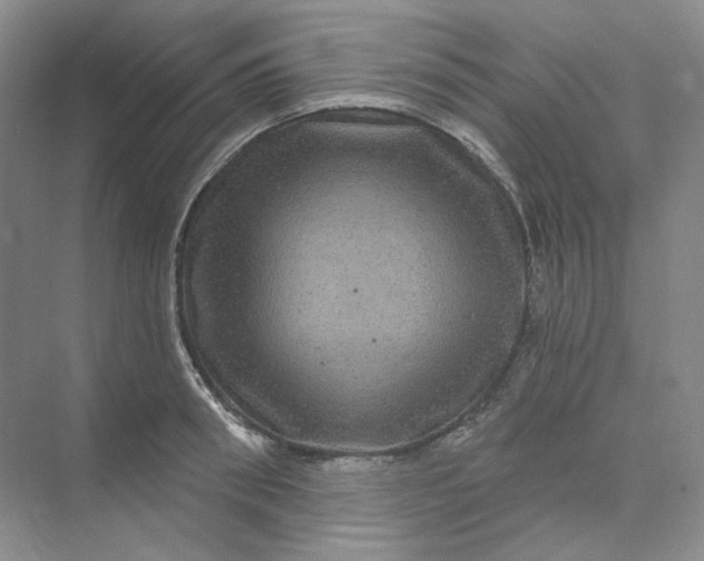 X0000075900898200609291729