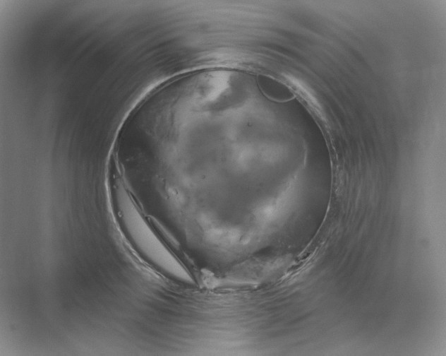 X0000075900899200609291729