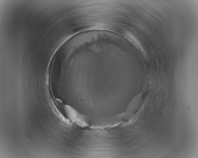 X0000075900900200609291729