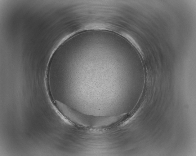 X0000075900901200609291729