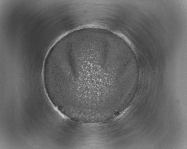 X0000075900902200609291729