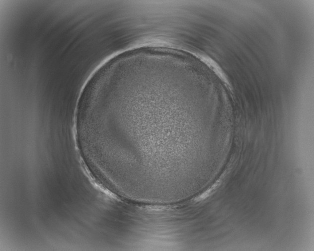 X0000075900904200609291729