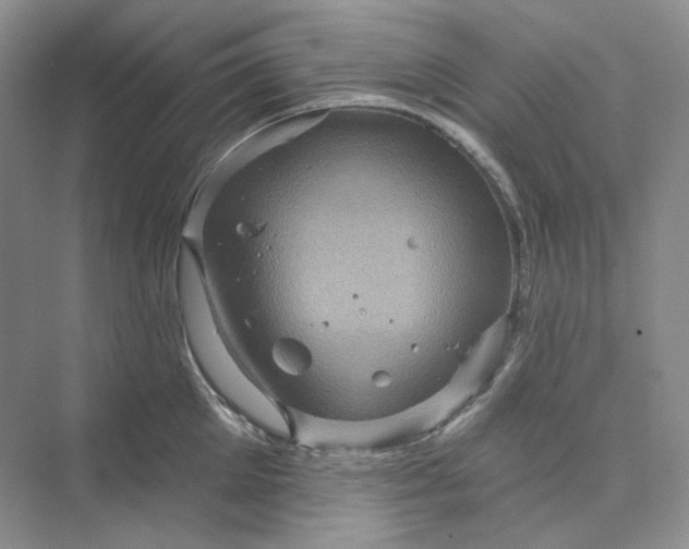 X0000075900905200609291729