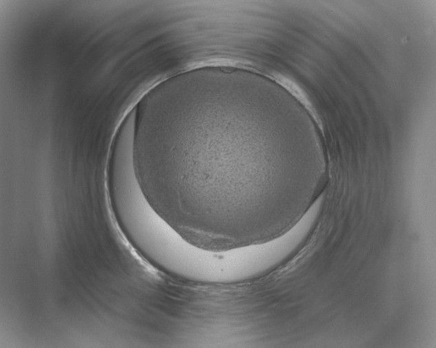 X0000075900906200609291729