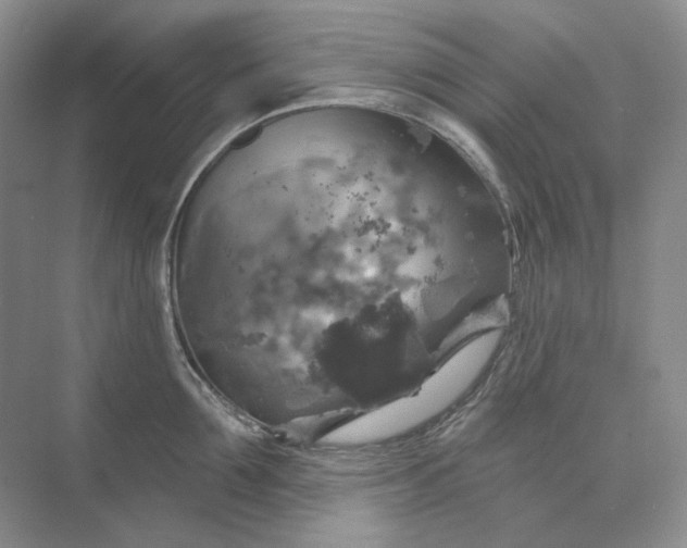 X0000075900907200609291729