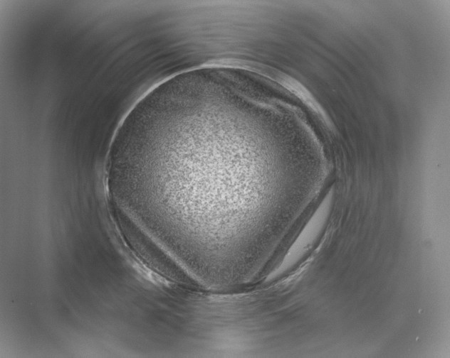 X0000075900908200609291729