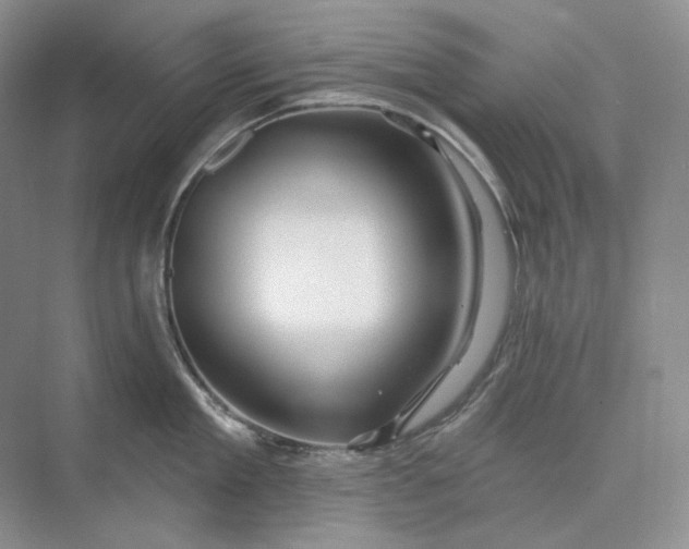 X0000075900909200609291729