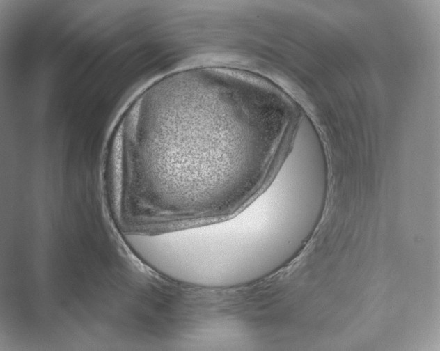 X0000075900912200609291728