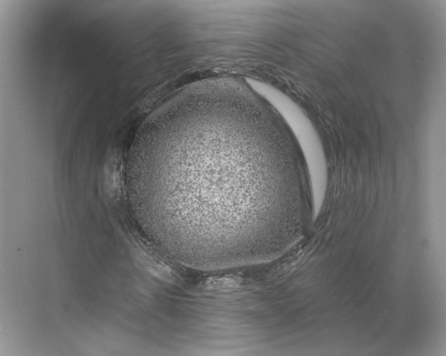 X0000075900914200609291728