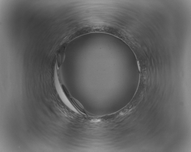 X0000075900916200609291728