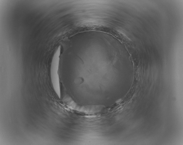 X0000075900917200609291728